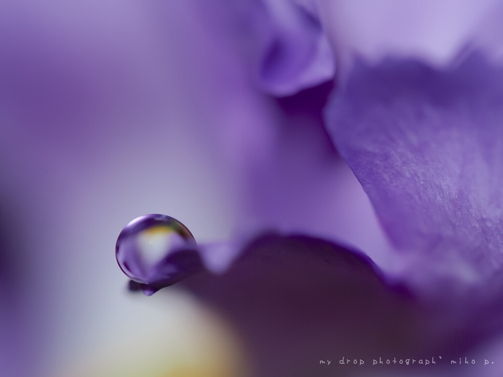 Possess dignity and beauty…