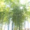 風に靡く木々の音*