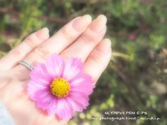 cosmos ring*