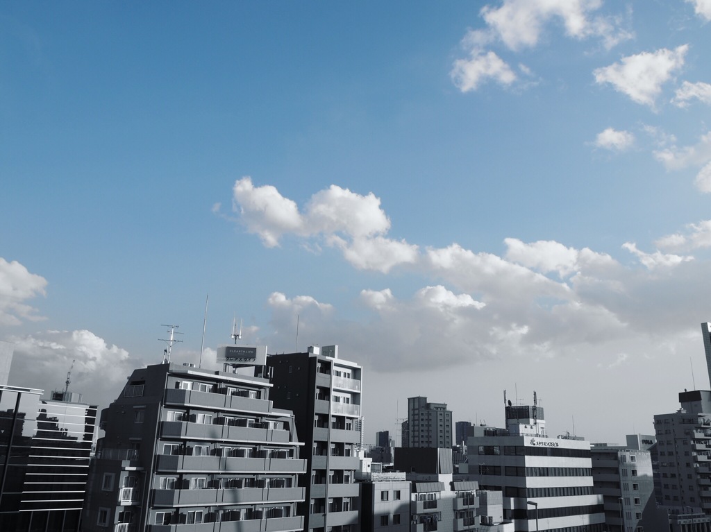 モノクロトウキョー