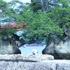 ポチくんと松島散歩①