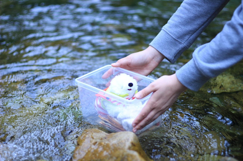 ポチくんと水遊び！