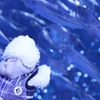 ポチ君、お魚に夢中…