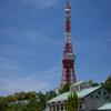 芝公園（20160507）