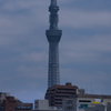 From the Sumida River Terrace