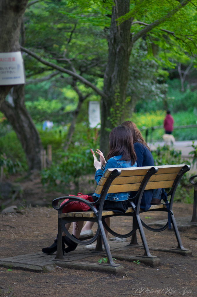 夕方の公園のベンチにて