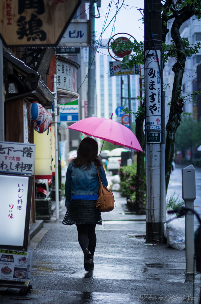  Umbrella