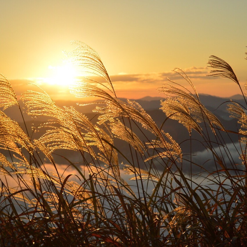 来日山