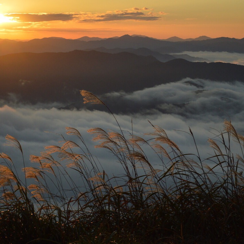 来日山