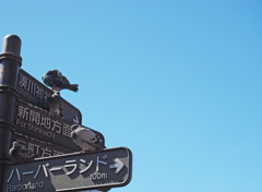 日向ぼっこには暑すぎる！！