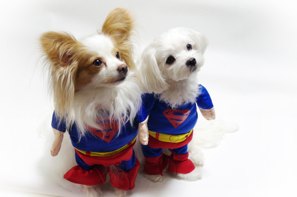 SUPERWAN’S