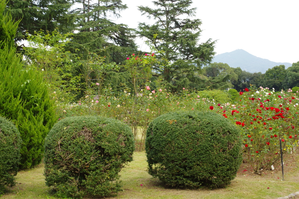 植物園にて