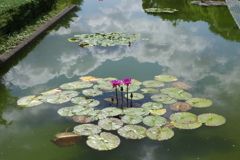 植物園散策