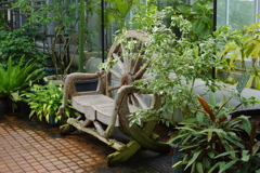 植物園散策