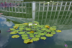植物園散策