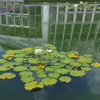 植物園散策
