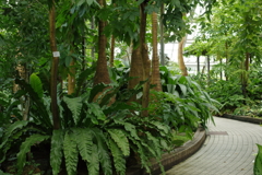 植物園にて