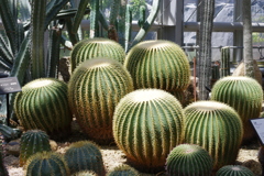植物園散策