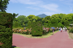 植物園散策