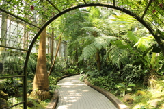５月の植物園