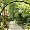 ５月の植物園