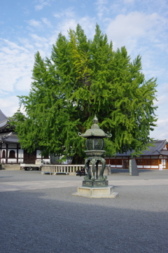 秋の本願寺