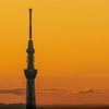 タワーの夕景