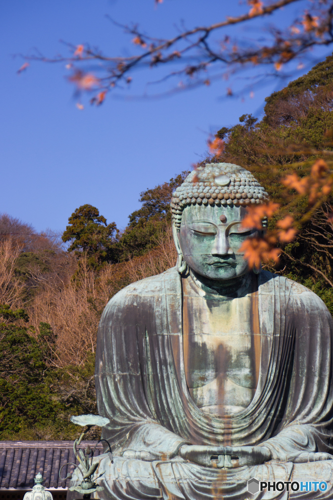 美男におわす・・・