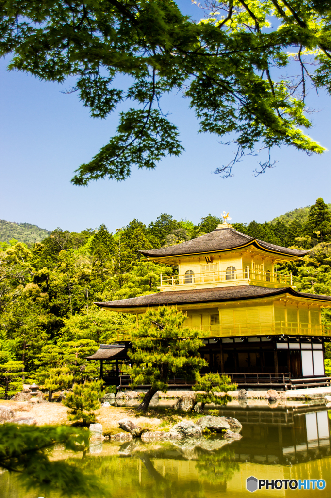 金閣寺