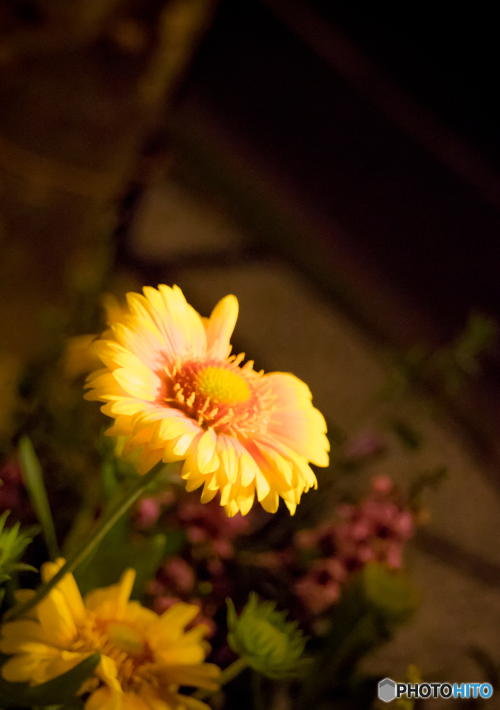 花