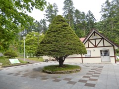三角と三角