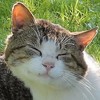 笑顔は無料です