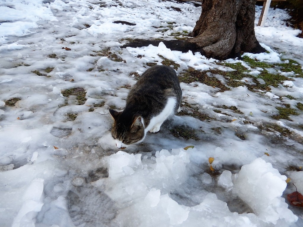 水分補給