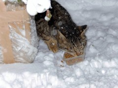 ちょうど１年前