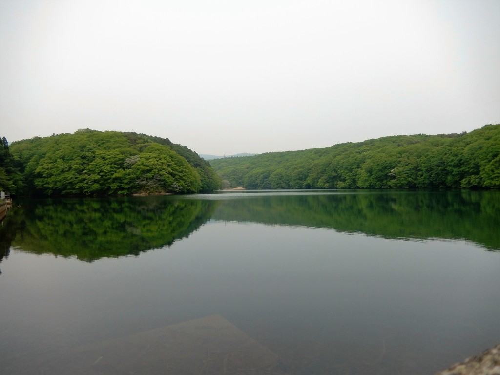ダムの貯水池
