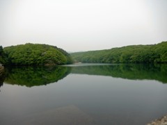 ダムの貯水池