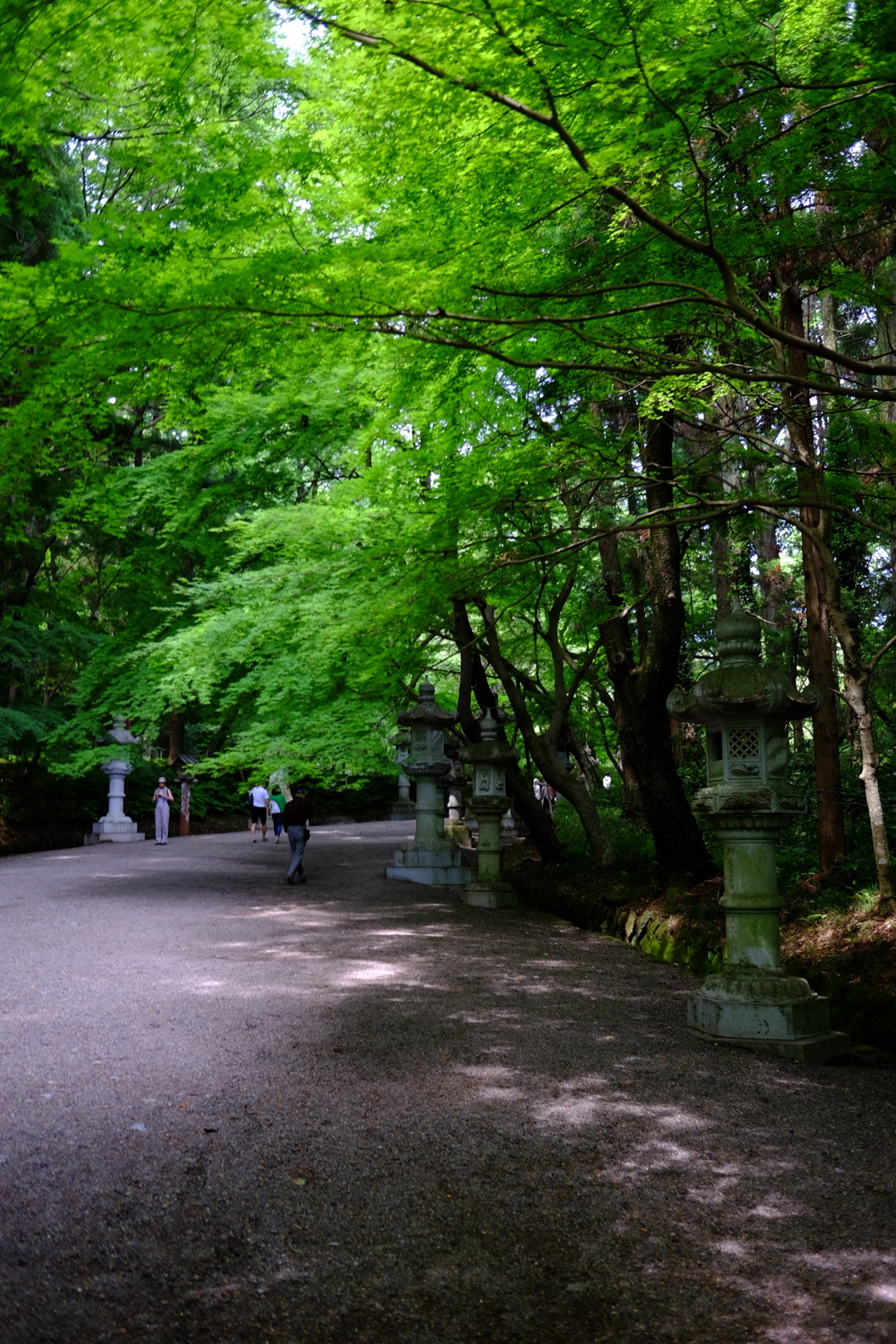 香取神宮参道