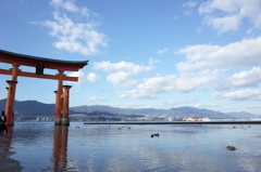 厳島神社_大鳥居と冬の空