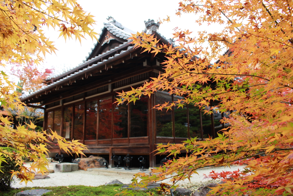 天授庵の紅葉　その2