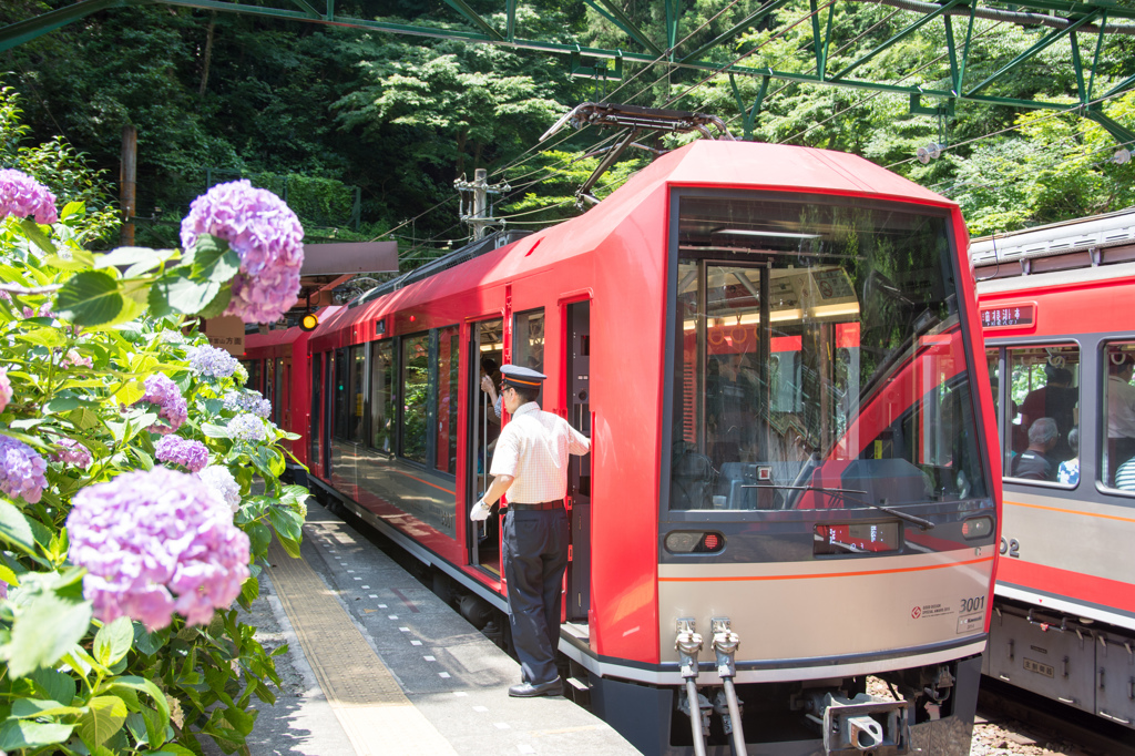 あじさい電車