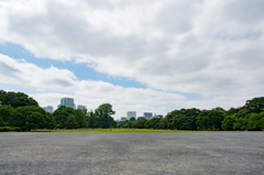 新宿御苑 曇りの中に見えた青空