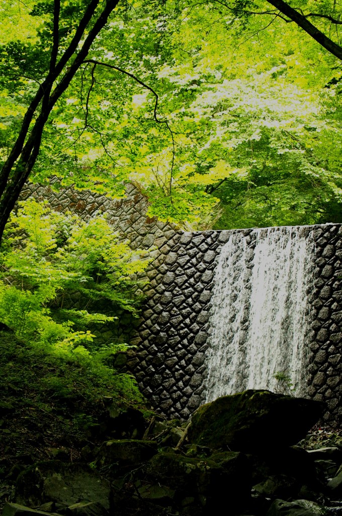 石の厳格さと葉の優しさ