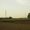 P5280249