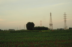 田舎の電信柱