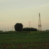 田舎の電信柱
