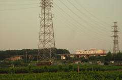 P5280252