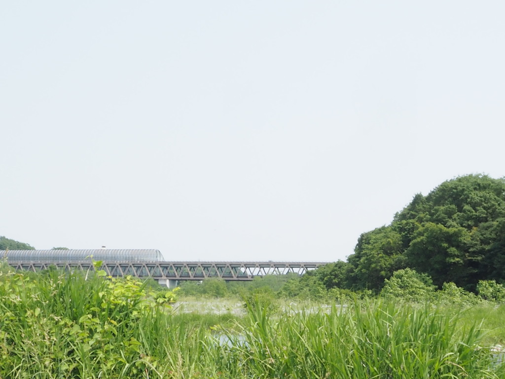 後悔