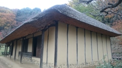 薬師池公園