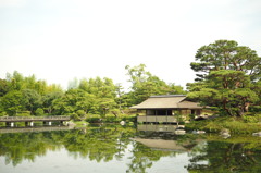 P7020038