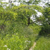 P5210087
